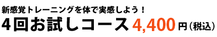 4回お試しコース4400円(税込)