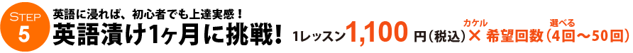 英語漬け1ヶ月に挑戦！