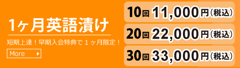 英語漬け1ヶ月に挑戦！